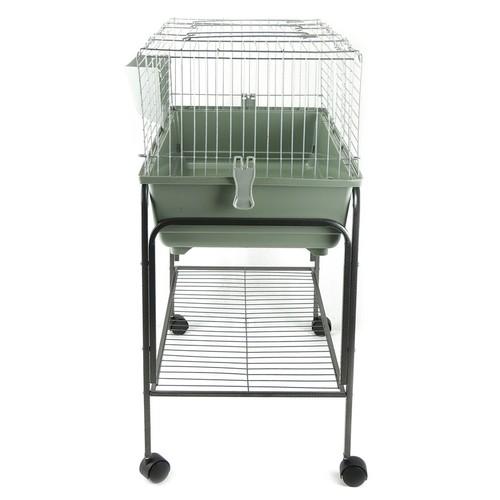 Indoor rabbit guinea - guinea, cage