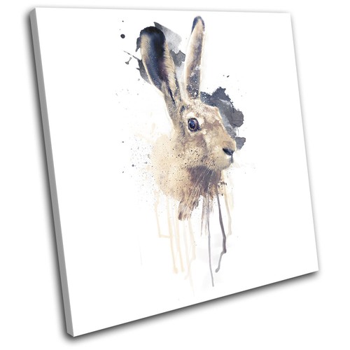 March hare rabbit - march,