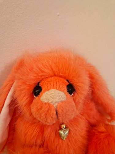 Kaycee bears limited - kaycee,