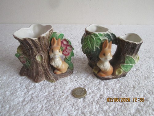 Hornsea pottery fauna - hornsea,