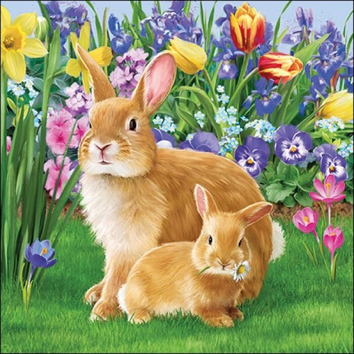 Single - 4x,