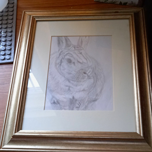 Ooak realism rabbit pencil - realism,