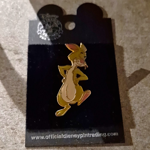 Disney pin trading - pin, rabbit