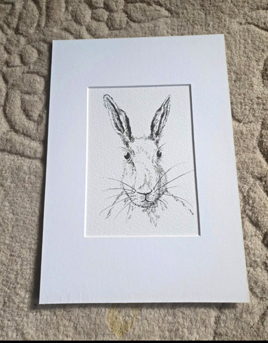 Rabbit hare portrait black - portrait, &