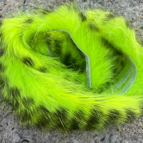 Blob and buzzer - and, colour