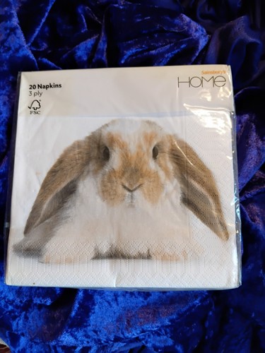 Rabbit single paper - rabbit,