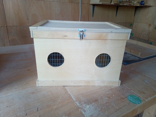 Single rabbit guinea pig show - single,