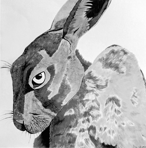 Monochrome hare rabbit print - monochrome,