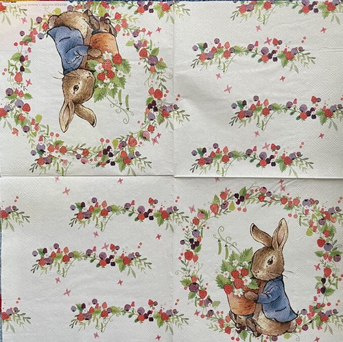Peter rabbit single - rabbit, paper