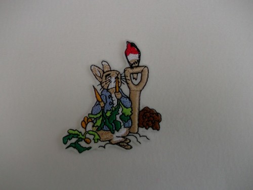 Peter rabbit the carrot - peter,