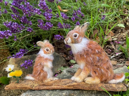 Cottontail rabbits needle - cottontail,