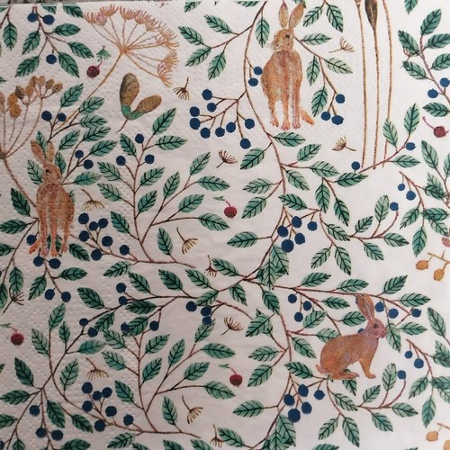 Single paper napkins for - napkins,